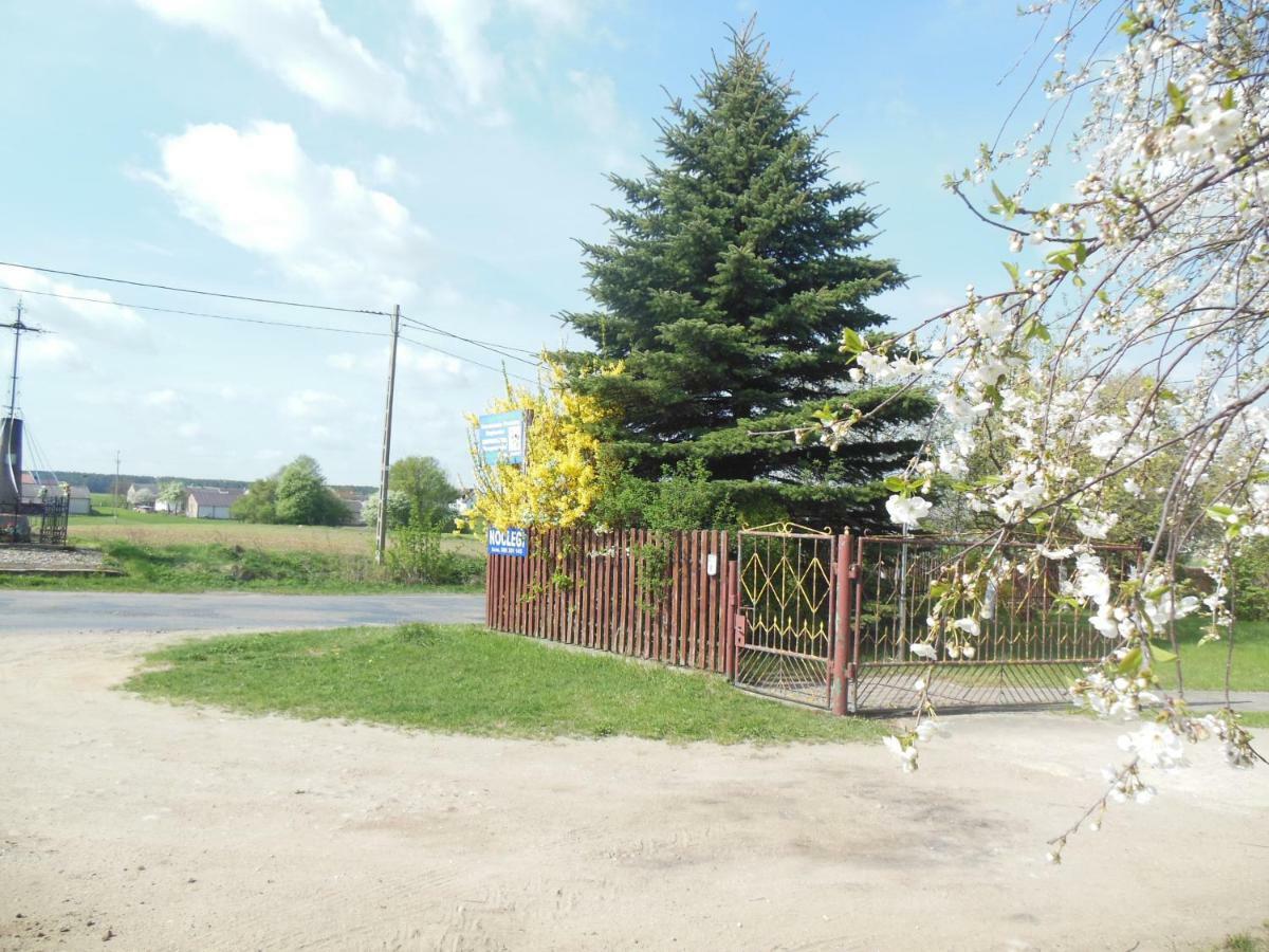 Niezapominajka Vila Jenki Exterior foto