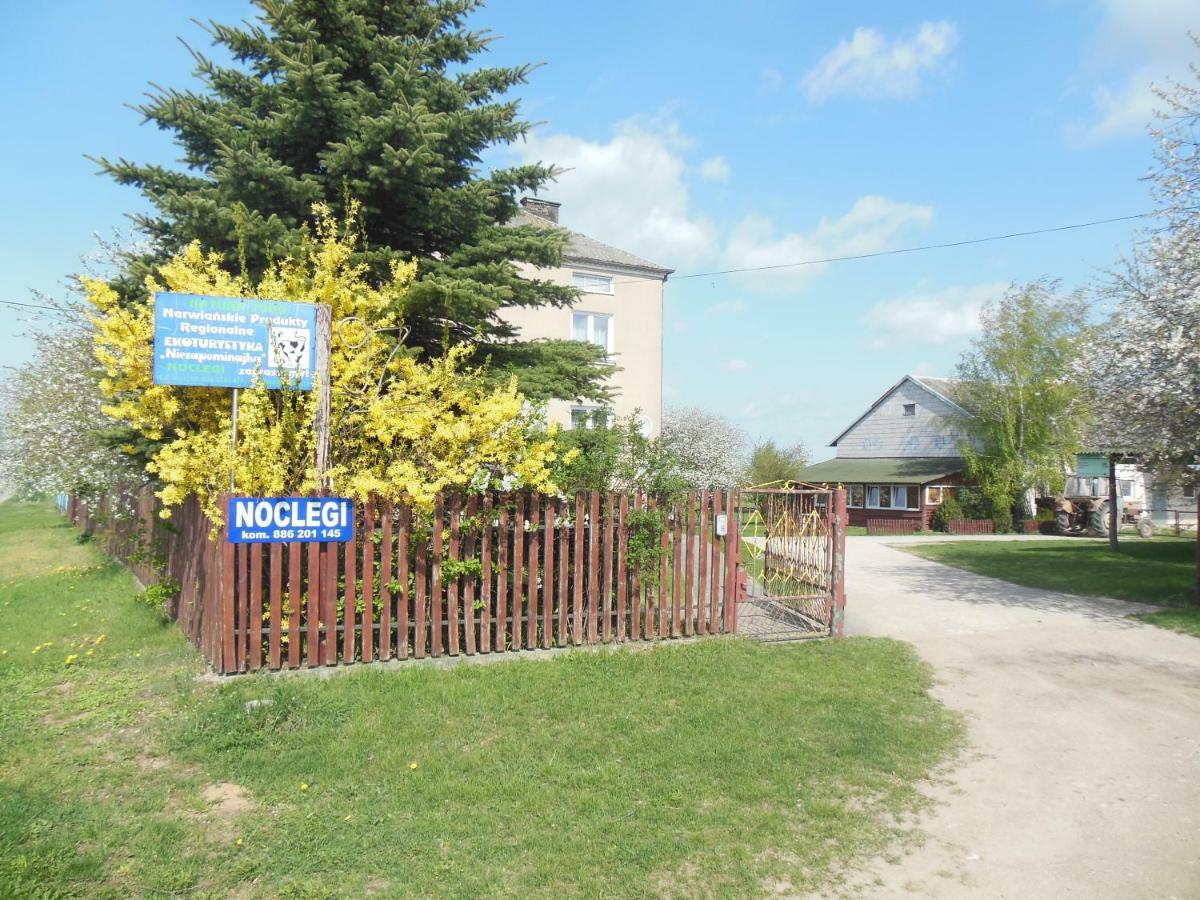 Niezapominajka Vila Jenki Exterior foto